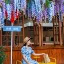 绍兴大禹开元观堂 - 绍兴市旅游 缩略图 5