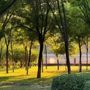 迎泽大桥 - 太原市旅游 缩略图 9