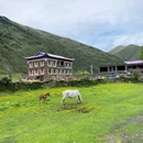瓦板营地·野奢帐篷民宿 - 甘孜藏族自治州旅游 缩略图 4
