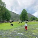 瓦板营地·野奢帐篷民宿 - 甘孜藏族自治州旅游 缩略图 7