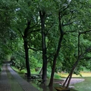 明孝陵景区 - 南京市旅游 缩略图 1