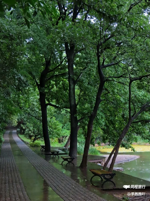 明孝陵景区 - 南京市旅游