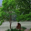 明孝陵景区 - 南京市旅游 缩略图 4