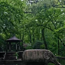 明孝陵景区 - 南京市旅游 缩略图 5