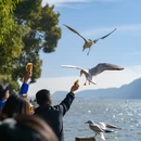 昆明旅游 缩略图 6