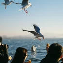 昆明旅游 缩略图 8