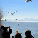 昆明旅游 缩略图 5