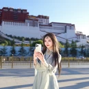 拉萨旅游 缩略图 2