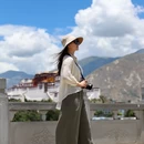 拉萨旅游 缩略图 7