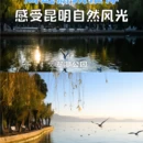 昆明旅游 缩略图 3
