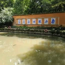 国清寺 - 台州旅游 缩略图 5