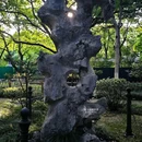 莲花庄公园 - 湖州市旅游 缩略图 4
