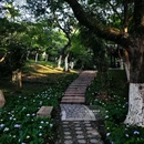 莲花庄公园 - 湖州市旅游 缩略图 9