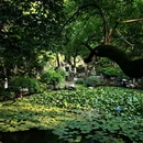 莲花庄公园 - 湖州市旅游 缩略图 7