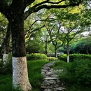 莲花庄公园 - 湖州市旅游 缩略图 8