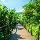 广西德天跨国瀑布景区 - 崇左旅游 缩略图 8