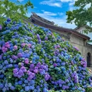 太湖鼋头渚风景区-犊山门 - 无锡市旅游 缩略图 1