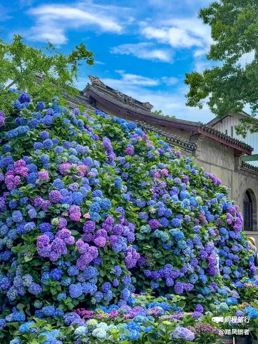 太湖鼋头渚风景区-犊山门 - 无锡市旅游