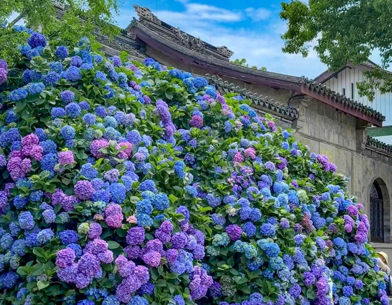 太湖鼋头渚风景区-犊山门 - 无锡市旅游 1