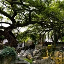 黄姚古镇 - 贺州市旅游 缩略图 5