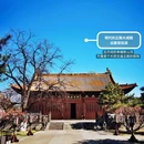 大同府文庙 - 大同市旅游 缩略图 3