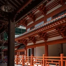 仁寿寺 - 佛山市旅游 缩略图 8