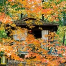 永泉小镇接待中心 - 铜陵市旅游 缩略图 3