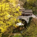 永泉小镇接待中心 - 铜陵市旅游 缩略图 7