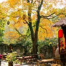 永泉小镇接待中心 - 铜陵市旅游 缩略图 9