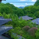 衢州城市森林公园 - 衢州市旅游 缩略图 3