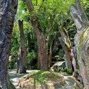 衢州城市森林公园 - 衢州市旅游 缩略图 4