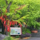 衢州城市森林公园 - 衢州市旅游 缩略图 9