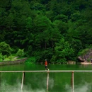 浙江新昌十九峰景区 - 绍兴市旅游 缩略图 3
