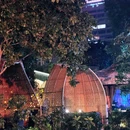 鸟旦炭火烧鸟·露营地·夜宵(北外滩店) - 上海市旅游 缩略图 7