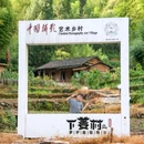 千岛湖 - 加拿大旅游 缩略图 5