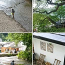 千岛湖 - 加拿大旅游 缩略图 9
