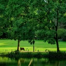 孤山路 - 杭州市旅游 缩略图 2