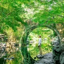 孤山路 - 杭州市旅游 缩略图 7