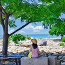秦山岛旅游景区 - 连云港市旅游 缩略图 4