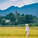 关麓古村落景区 - 黄山市旅游 缩略图 2