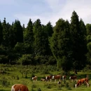 麦子槽 - 重庆市旅游 缩略图 1