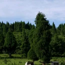 麦子槽 - 重庆市旅游 缩略图 4