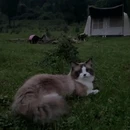 麦子槽 - 重庆市旅游 缩略图 8