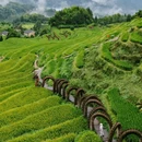 云和梯田景区 - 丽水市旅游 缩略图 4