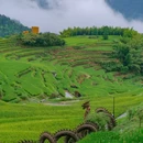 云和梯田景区 - 丽水市旅游 缩略图 2