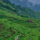 云和梯田景区 - 丽水市旅游 缩略图 8