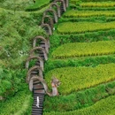 云和梯田景区 - 丽水市旅游 缩略图 9