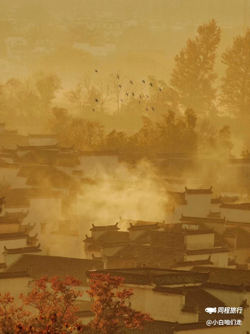塔川景区 - 黄山市旅游