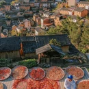 塔川景区 - 黄山市旅游 缩略图 9