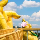 安吉云上草原度假村·半山隐竹酒店 - 湖州市旅游 缩略图 1